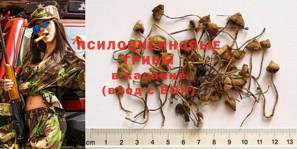 винт Абдулино