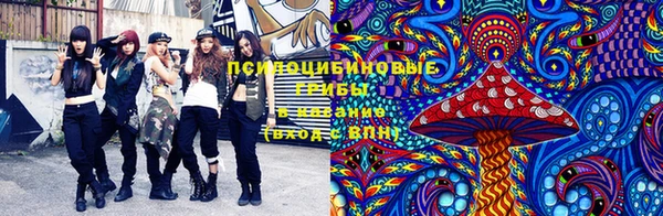 spice Абинск