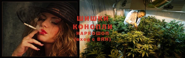 spice Абинск