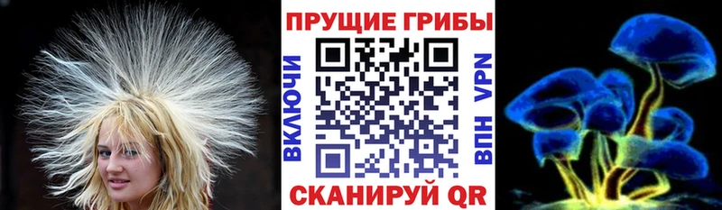 Псилоцибиновые грибы Psilocybine cubensis  Цимлянск 