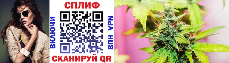 купить наркоту  Цимлянск  Бошки марихуана Amnesia 